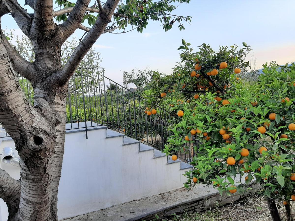 Zagara Villa Mascali Exterior foto